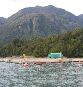 Aquaculture in Chile